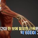 일동서울정형외과의원 이미지