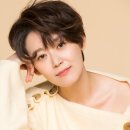 김보정 카카오 검색결과