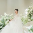 디어 브리에