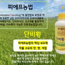 (주)단비 바이오 이미지