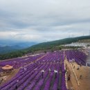 아스타축제 이미지