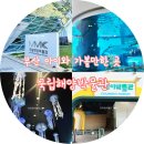 부산해양박물관 | 부산 아이와 가볼만한곳 실내 아기랑 가볼만한 부산 국립해양박물관 주차 무료 관람 후기 🐳