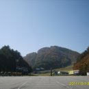 호법목장 이미지