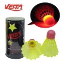 배드민턴(야간) 이미지