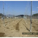 두솔농장 이미지