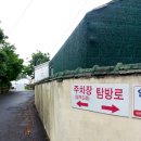 제주 안덕계곡 상록수림 이미지
