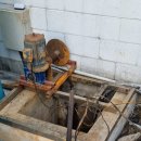 안산천서로 이미지