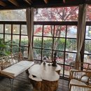 공주-74 | 공주 프린세스 피크닉 카페 내돈내산 후기