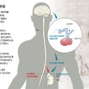 자인한약국