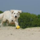 하남동물병원 이미지