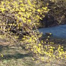 이천1리 이미지