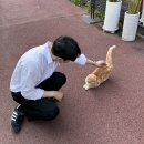 수원-0246 | [수원]광교 카페거리 오프더월 카페 + 애견 동반 가능