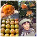 준영농장 이미지