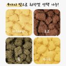 미미곳간 | 강릉 중앙시장 맛집 말랑곳간 카스테라인절미, 초코인절미 후기