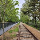 화랑대역 2번출구 버스정류장 이미지