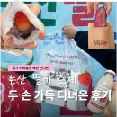 딸기 | 논산 딸기 축제 후기 체험 프로그램 먹거리