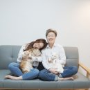 조문근 카카오 검색결과