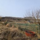 홍동농장 이미지