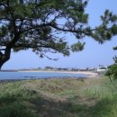 상모1리(이교동) 이미지