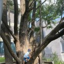 보육과정 이미지