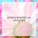 포인플래닝