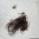 아모르빌딩(부곡동) | [내돈내산] 장유 여자펌 잘하는곳 '주드헤어' 구름펌 후기