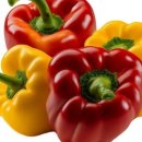 섭이네농장 이미지