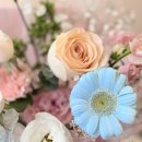 8호선 문정역(개찰구 밖) | 서울 꽃집 추천 송파 꽃집 문정역 문정동 하비오플라워바이수 가격 꽃다발S