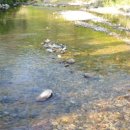 상류펜션 이미지