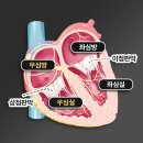 맘스동물의료센터 이미지