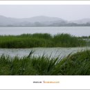 부자여인숙 이미지