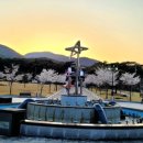 은해사 벚꽃길 이미지