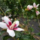 종무농장 이미지