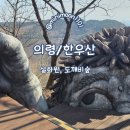 의령 한우산 도깨비숲 설화원 후기｜주차, 코스, 아이와 가기 좋은 의령 가볼 만한 곳