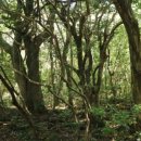 하례2리 이미지