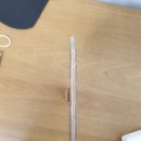 블루우드 이미지