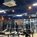 플래츠짐 이미지