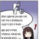 철분이 필수 영양소라고 해서 철가루를 먹으면 될까요 안될까요? 이미지