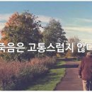 죽음은 고통스럽지 않다 [닥터U 유태우박사] 이미지