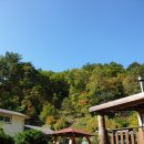 자작나무길펜션 이미지