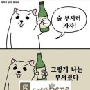 낭푼이닭한마리 이미지