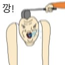 신신스포츠