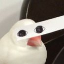 뚜비두밥