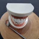 여의도예치과의원 이미지