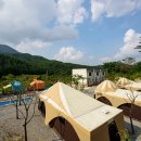 동물카라반펜션 이미지