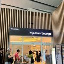 골드브릿지와인 | 인천공항 2터미널 마티나 라운지 솔직 후기 | 위치·가격·음식·제휴 카드 후기