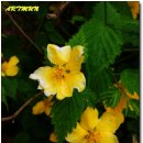 큰마을저수지 이미지