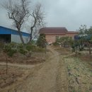 솔모루약국 이미지