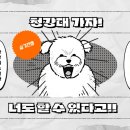 가자학원
