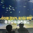 후쿠오카 마린월드 돌고래쇼 좌석 예약 최신 정보부터 관람 동선 추천 및 식당 후기
